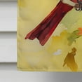 thumbnail image 4 of Cardinal House Flag 28 in x 40 in, 4 of 5