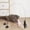 Black, variant on PP Cotton Retractable Cat Wand Toy with Suction Cup and Long Steel Wire for Interactive Indoor Exercise