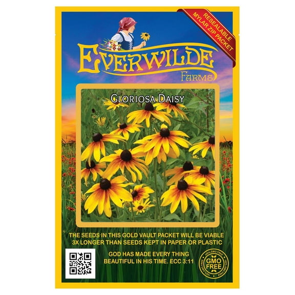 Everwilde Farms - 2000 Gloriosa Daisy Native Wildflower Seeds - Gold Vault Seed Packet