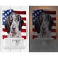 thumbnail image 2 of Carolines Treasures SC9625CNL Blue Tick Coonhound with American Flag USA Ceramic Night Light 6x4x3" multicolor, 2 of 2