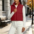 thumbnail image 5 of Vixolx Women Cropped Puffer Vest Zip Up Stand Collar Quilted Sleeveless Jacket Lightweight Fall Winter Casual Outerwear, 5 of 8