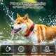 thumbnail image 5 of Porta Collar para Perro GOCII Impermeable para Apple AirTag 2 Paquetes, 5 of 6