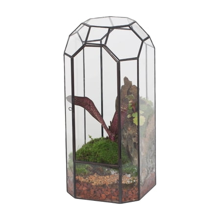 NCYP Glass Geometric Plant Terrarium with Door for Succulent Plants, Cacti - 5.5"x5.5"x12.8" - Indoor Vintage Tall Octagon Planter, Home Garden Office Tabletop Decoration (Terrarium Only) C40