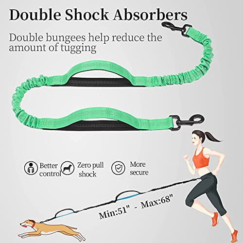 iYoShop Hands Free Dog Leash with Zipper Pouch, Dual Padded Handles and Durable Bungee for Walking, Jogging and Running Your Dog (Large, 25-120 lbs, Emerald)