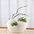 thumbnail image 3 of Maceta de cerámica moderna, maceta blanca para plantas s, plantas de serpiente Mediano 235x19cm Zulema maceta interior, 3 of 7