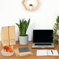 thumbnail image 1 of OULII 1Set Small Clear Acrylic Display Stand for Mineral Specimens Crystal Holder Rack, 1 of 8