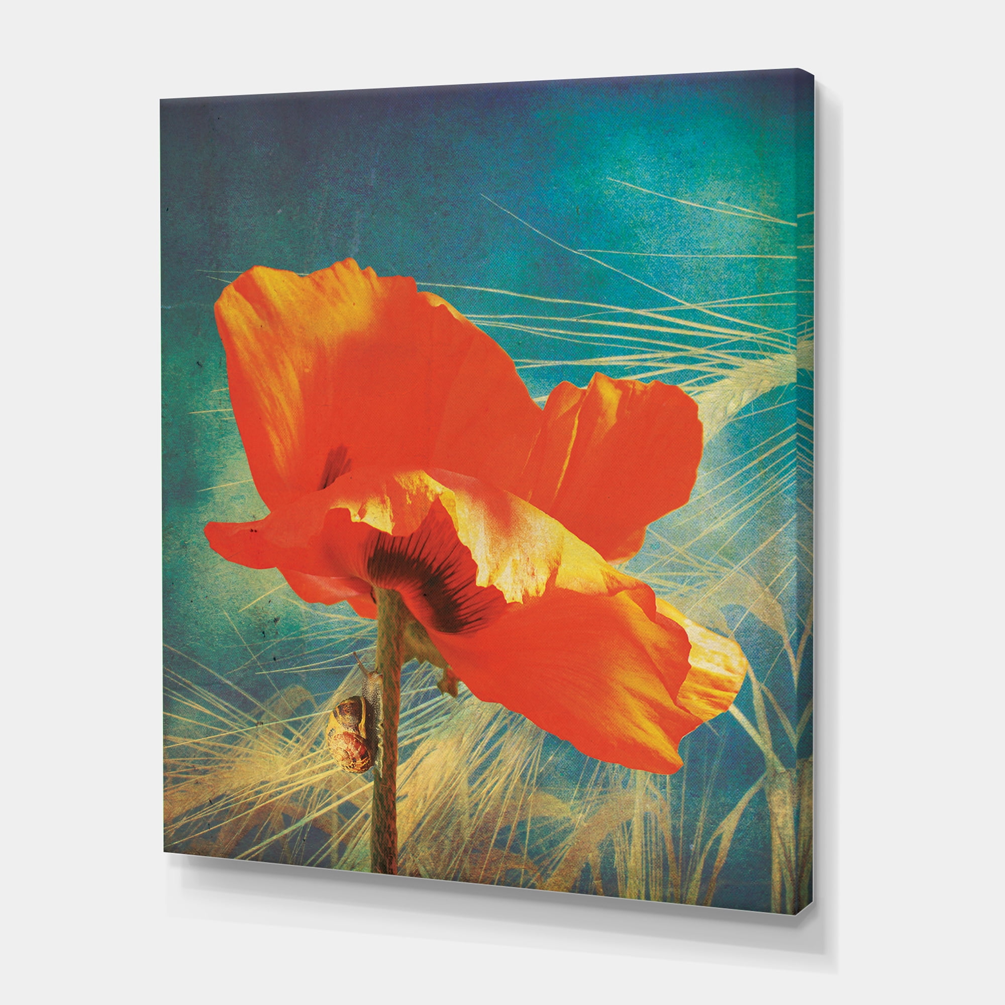 Designart ' Ancient Grunge Poppy ' Traditional Canvas Wall Art Print