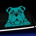 thumbnail image 1 of Peeking Bulldog - Vinyl Car Decal - Choose Color - [TURQUOISE], 1 of 1