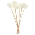 thumbnail image 7 of ACDANC 10pcs Small Chrysanthemum Scented Cane Rattan Reed Sticks Natural Fragrance Straight Reed Diffuser Aroma Oil Diffuser Rattan Sticks for Home Decor (White), 7 of 7