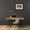 thumbnail image 3 of Sedalia, David 18x14 Black Ornate Wood Framed with Double Matting Museum Art Print Titled - Flowers IV, 3 of 4