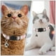 thumbnail image 3 of KAKOWELY Collar para gatos de estilo étnico con cascabel, ajustable, para gatitos y mascotas, 3 of 4