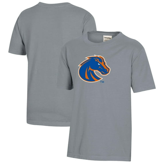 Youth  Gray Boise State Broncos Logo Comfort Wash T-Shirt