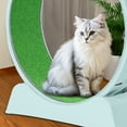 thumbnail image 6 of Ktaxon Cat Exercise Wheel 31in w/Green Mat & Free Teaser Wand, Safe PP Treadmill for Cats, Light Blue, 6 of 9