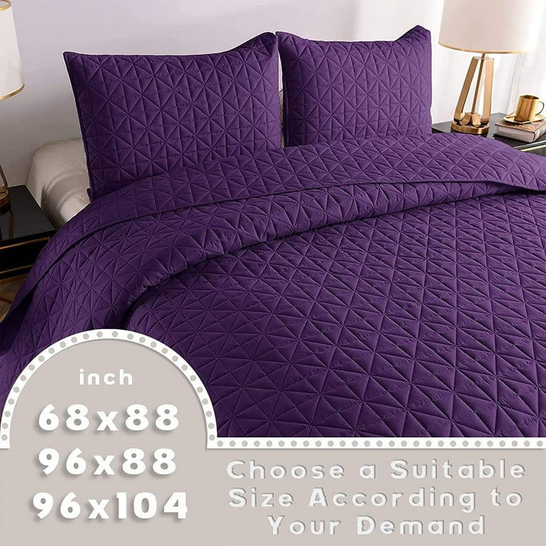 Exclusivo Mezcla 3-Piece King Size Quilt Set with Pillow Shams