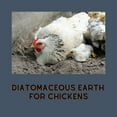 thumbnail image 3 of DiatomaceousEarth 20 LBS Food Grade Diatomaceous Earth - 100% Organic All Natural Diamateous Powder - Diametaceous for Humans is Safe Around Children, 3 of 6