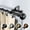 Black, variant on Central Design 4798-662 0.812 in. Dia. Hal Double Curtain Rod, Black - 66-120 in.