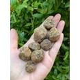 thumbnail image 3 of WHOLESALE Raw Garnet, Natural Garnet Stone, Natural Rough Garnet, Garnet Rough, Garnet Healing Crystal (Garnet, 0.5 Pound), 3 of 9