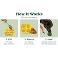 thumbnail image 3 of POINTERTECK WoofPupsicle Padded Dog Food Toy Easy Clean Natural Rubber Long Lasting Ball, 3 of 5
