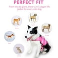 thumbnail image 4 of Life Jacket For Dogs, Safety Swimsuit With Rescue Handle For Small, Medium And Large Dogs （Rose Red,M）, 4 of 7