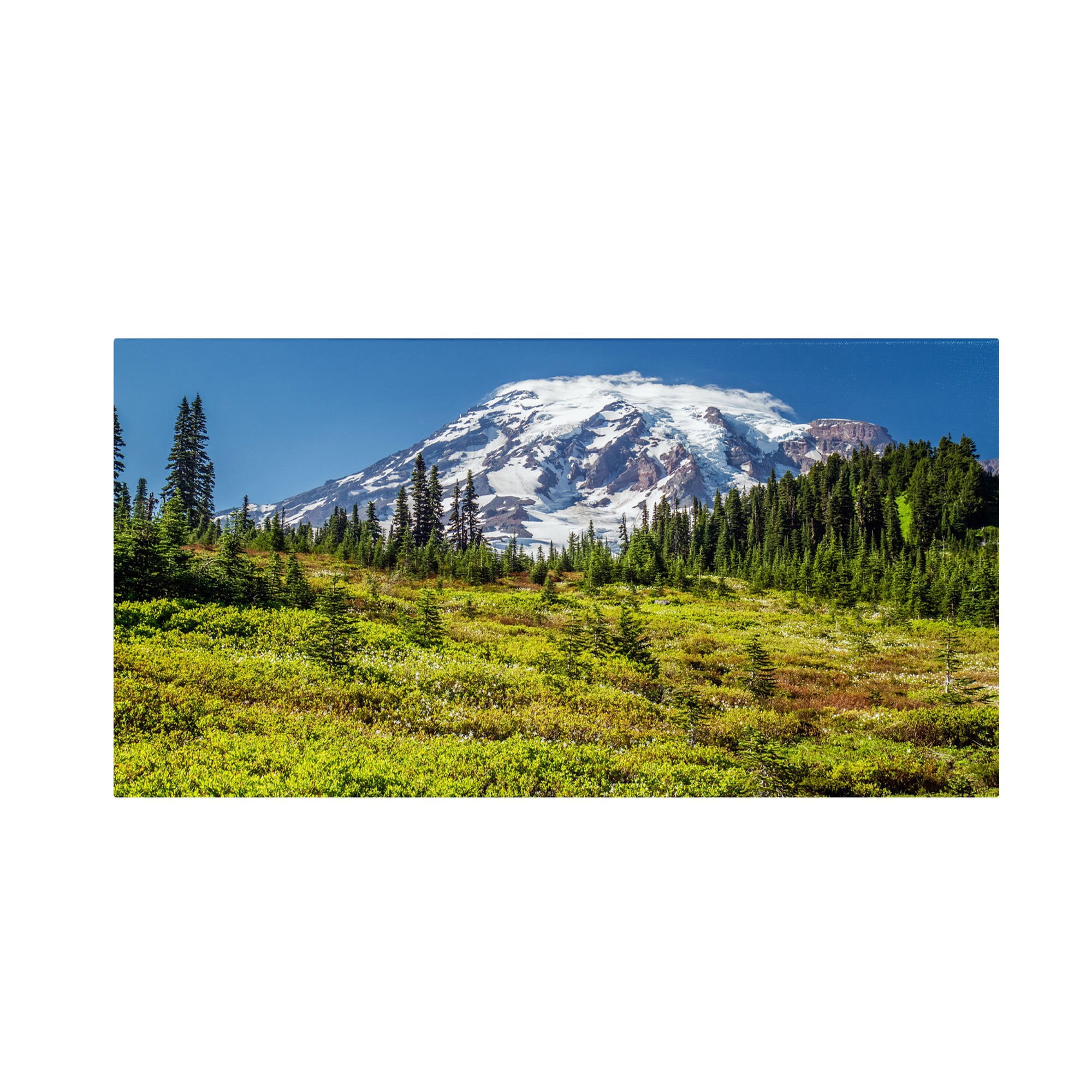 Trademark Fine Art "Mount Rainier Meadow" Canvas Art by Pierre Leclerc