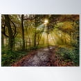 thumbnail image 2 of Moody Misty Autumn Scene In A Forest Poster Wall Art, Modern Wall Decor For Living Room Bedroom, 8x12 UNFRAMED, 2 of 3
