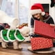 thumbnail image 4 of Disfraz de Navidad para Perros, XiXiRan Ropa Navideña para Mascotas, Abrigo para Perros de Navidad, Disfraz Navideño de Gato y Perro, Ropa Perros de Árbol de Navidad, Disfraces de Perros Pequeños (XL), 4 of 5