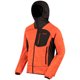 thumbnail image 1 of Regatta Great Outdoors - Chaqueta polar con capucha modelo Cartersville III para hombre (Brillo Ámbar/Gris) Regatta UTRG2388_P, 1 of 1