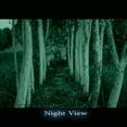 thumbnail image 4 of Startonight Mural Wall Art Green Alley from Bedroom Illuminated Nature Landscapes Wallpaper Photo 5 Stars Gift Large 10 x 28,82 ‘’ x 50,4 ‘’ Total 8’4”x 12', 4 of 4