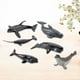 thumbnail image 5 of Modelo de animal marino, figuras de , juego de regalo modelo animal para Zulema Marina simulada, 5 of 8