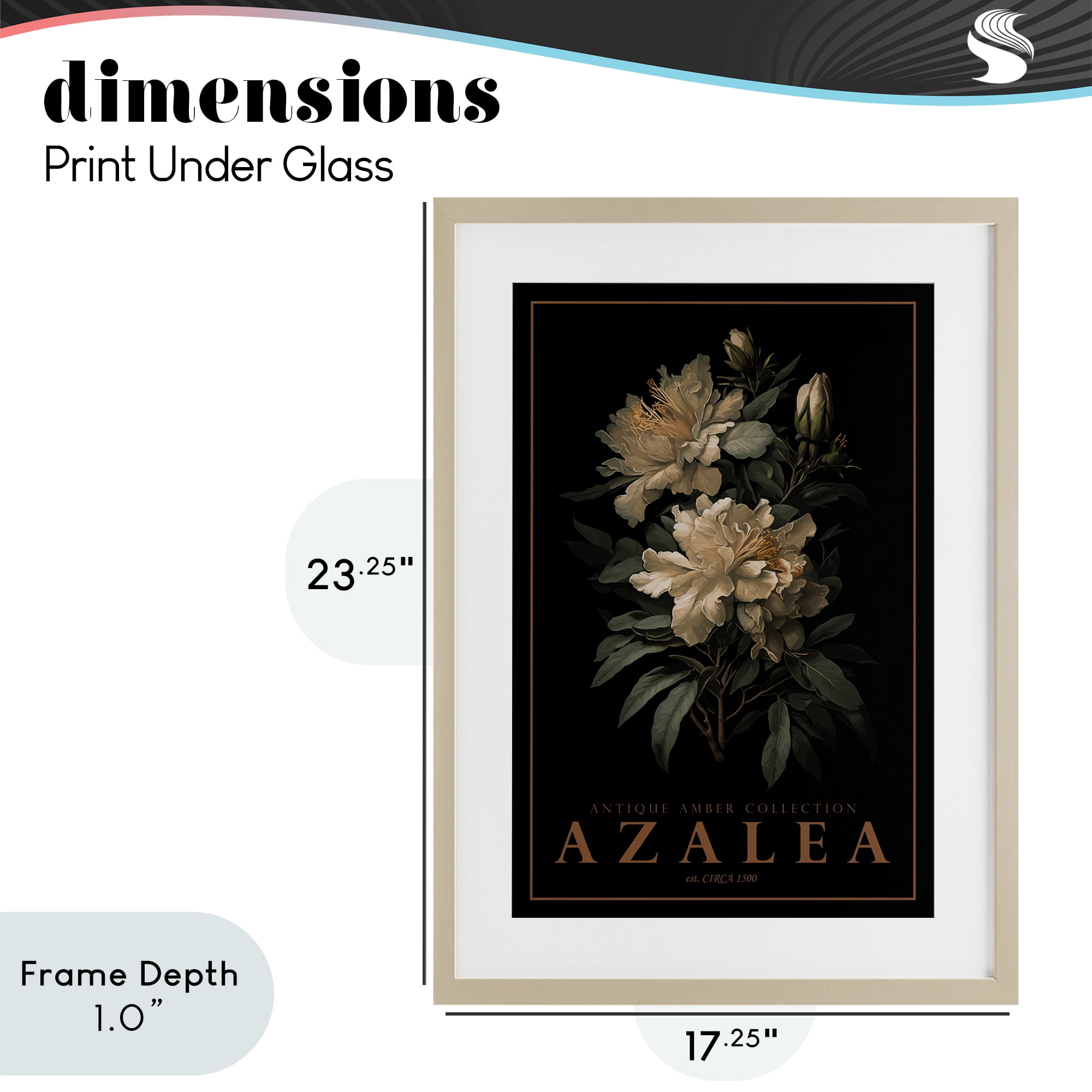 Stupell Industries Antique Azalea Light Birch Framed Print Under Glass, design by Chris Giampietro