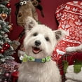 thumbnail image 5 of Adjustable Breathable Fruit Design Pet Collar with Secure Buckle for Comfortable Daily Walking and Training Use, 5 of 5