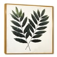 thumbnail image 2 of Designart "Sequoia Leaves In Sooty Shade" Leaves Floater Framed Wall Decor, 2 of 5
