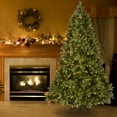 thumbnail image 3 of CC Christmas Decor 9’ Pre-Lit Downswept Douglas Fir Artificial Christmas Tree - Clear Lights, 3 of 6