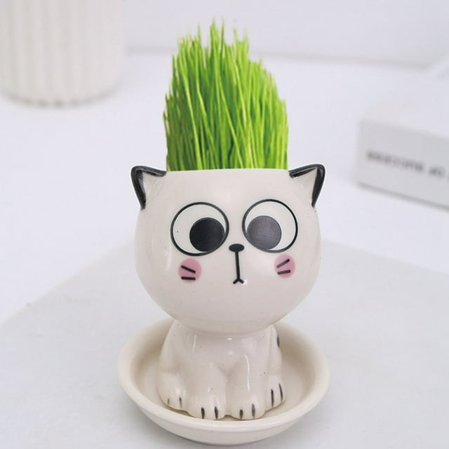 EIMELI Ceramic Flowerpot Mini Cat Shaped Cartoon Potted Plant Desktop Potted Expression Cat Plant Pot Desk Decorate Small Ornament