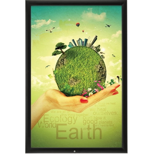 MT Displays Lockable Weatherproof Picture Frame
