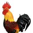 thumbnail image 5 of Atlantic Collectibles Large Decorative Sunshine Country Barnyard Farm Rooster Chicken Figurine 13.5"H, 5 of 5