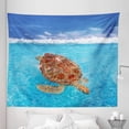 thumbnail image 1 of Turtle Tapestry, Sea Turtle Chelonia Mydas on Water Surface Caribbean Beach Tropics, Fabric Wall Hanging Decor for Bedroom Living Room Dorm, 5 Sizes, Violet Blue Pale Brown, by Ambesonne, 1 of 1