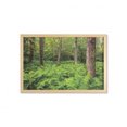 thumbnail image 1 of Dark Forest Wall Art with Frame, Real Life Picture of Ferns and Branches in a National Park in Virginia, Printed Fabric Poster for Bathroom Living Room, 35" x 23", Green and Umber, by Ambesonne, 1 of 2