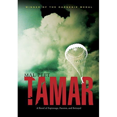 Pre-Owned Tamar (Paperback) 0763640638 9780763640637