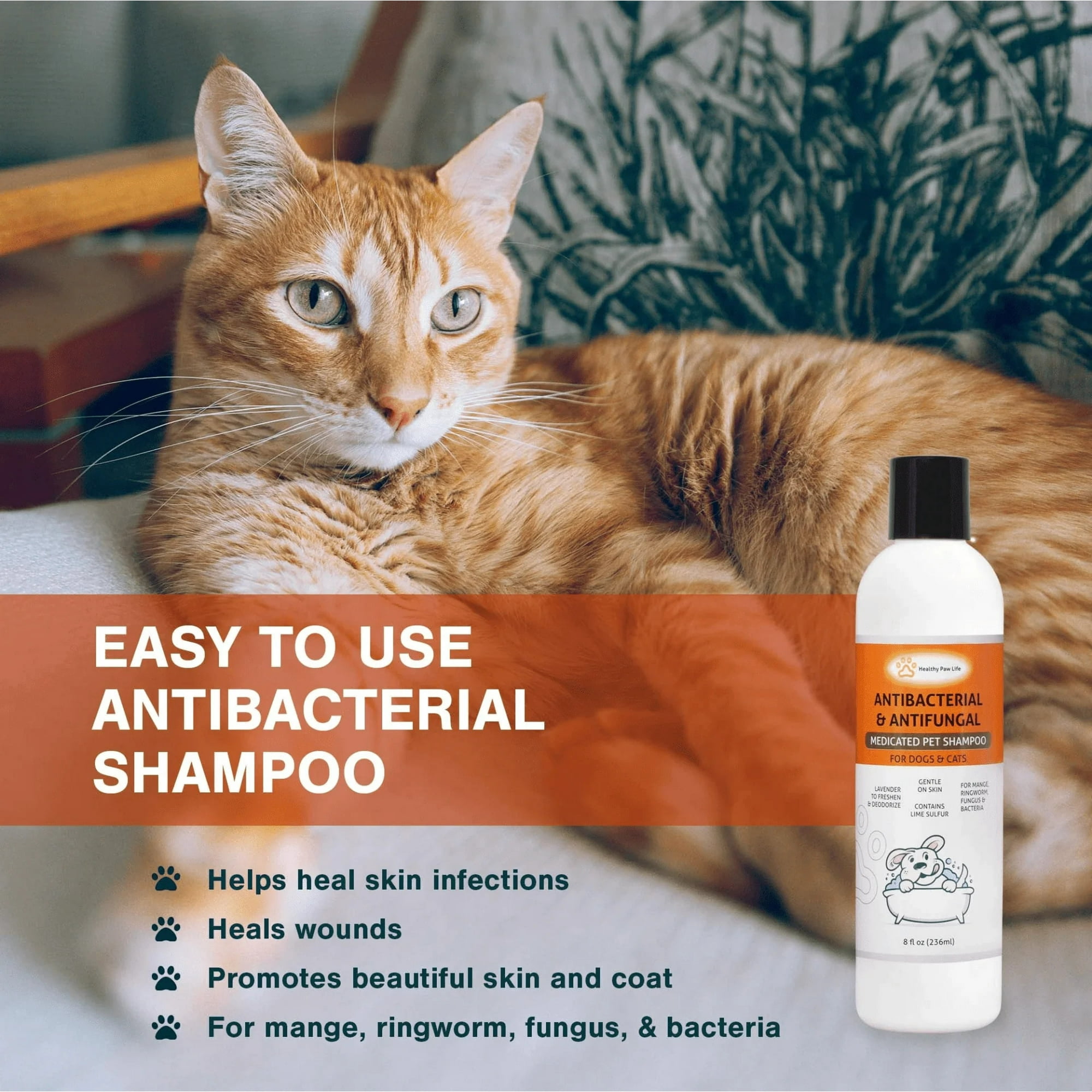 Purina medicated dog shampoo discount