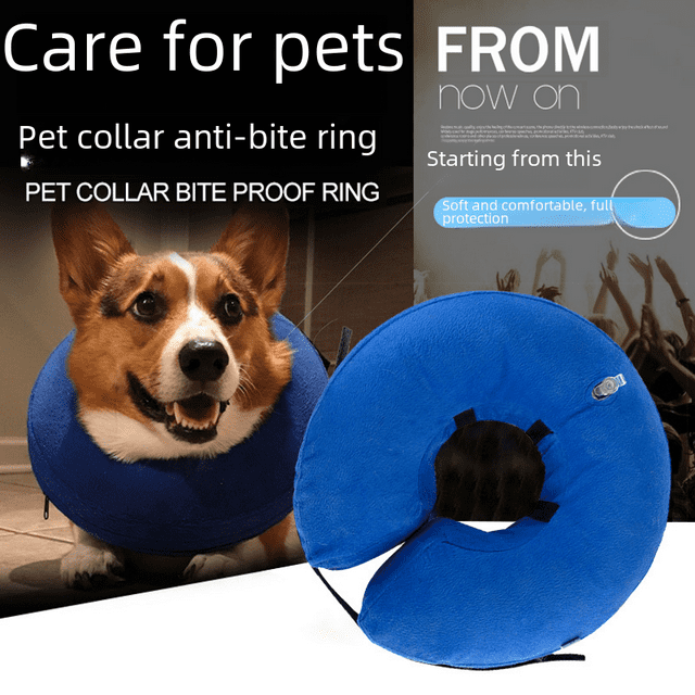 Bague de Cou Gonflable en PVC pour Animaux Amazon Anti-Morsure Chaude Bague Elizabeth Chat Chien Couvre-Chef Vente en Gros Fabricants