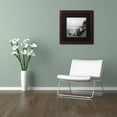 thumbnail image 3 of Trademark Fine Art "Lake Vista I" Canvas Art by Alan Blaustein, Black Matte, Wood Frame, 3 of 4