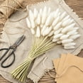 thumbnail image 5 of Dried Bunny Tail Grass Bundle, Multi Color Dry Flower Stem Set, Boho Floral Vase Filler, Decorative Flower for Living Room Home Party Floral Arrangement, 5 of 7