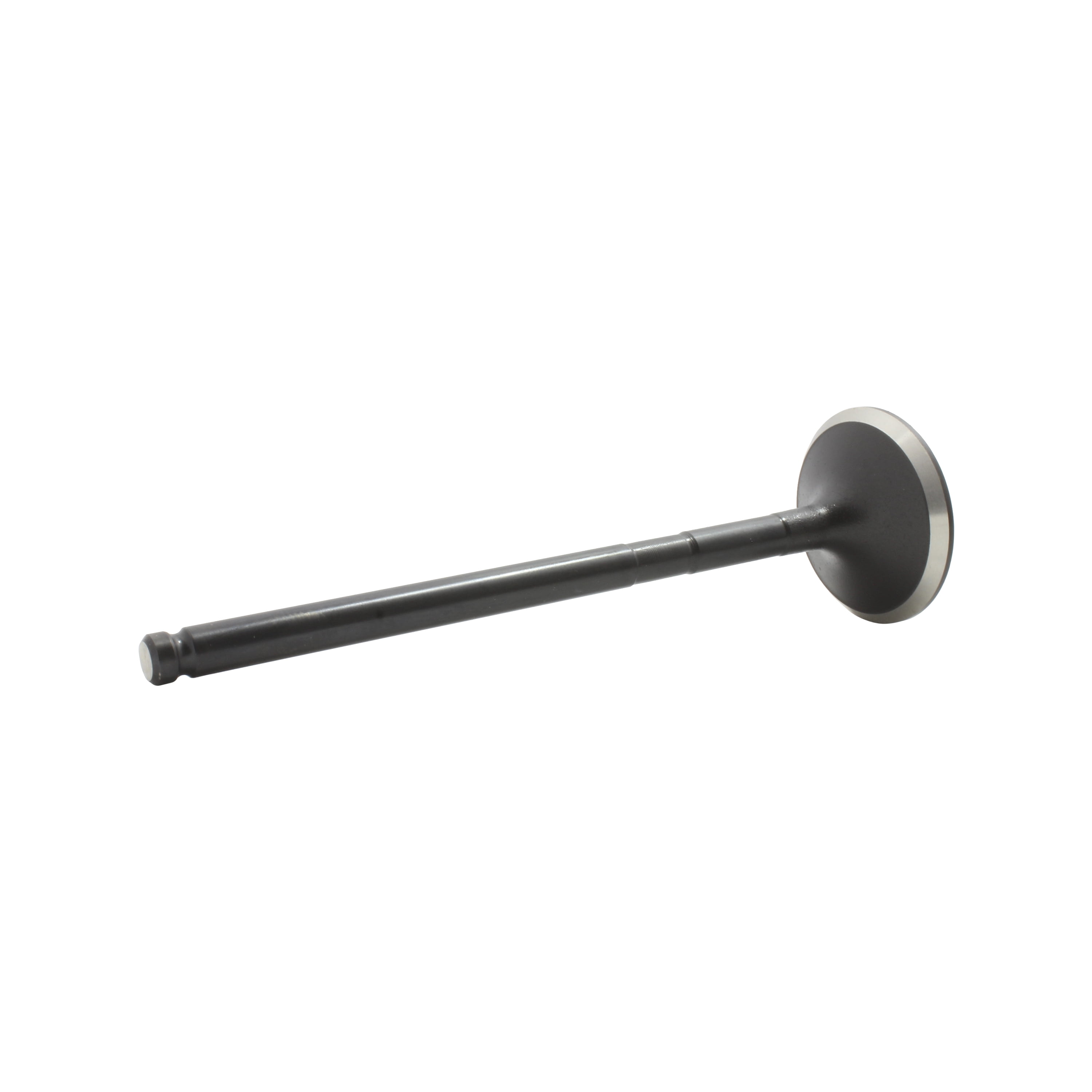 DNJ EV922 Exhaust Valve Fits Cars & Trucks 01-15 Lexus Pontiac Camry Corolla 2.0L L4 DOHC 16v