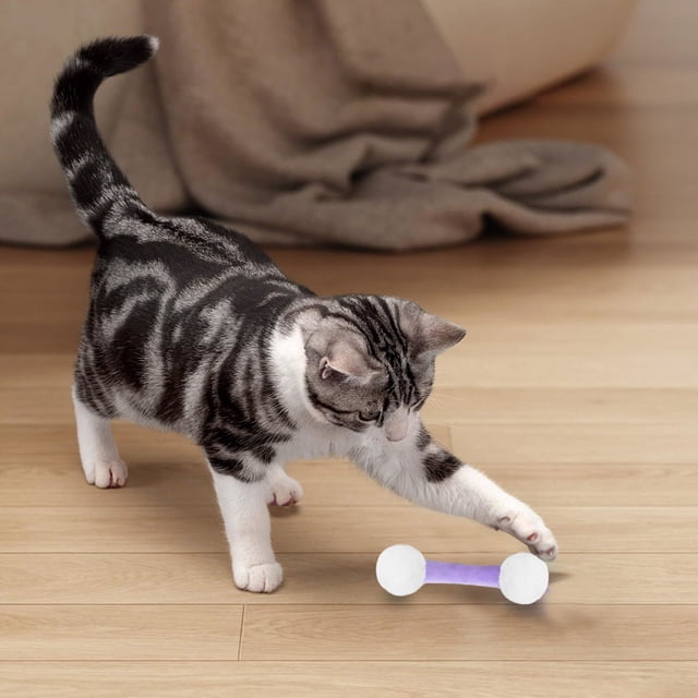 Interactive Cat Toy Set with Soft Teething Chew Sticks for Indoor and Exercise