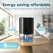 KLOUDIC 33Oz Dehumidifier Small Dehumidifiers for Room 280sq.ft with Auto-off, 7 Colors LED Light
