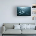 thumbnail image 2 of Andrey Narchuk 'Oppositin' Canvas Art, 2 of 4