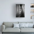 thumbnail image 2 of Trademark Fine Art 'Shy Eye' Canvas Art by Aledanda, 2 of 4