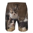 thumbnail image 4 of Naloa Cat Family Men's Beach Shorts, Surfing shorts, Swim trunks, Quick Dry Swim Trunks for Surfing Beach Fun - Medium, 4 of 9