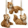 thumbnail image 1 of Renard de 3 Po - Lot de 3, 1 of 1